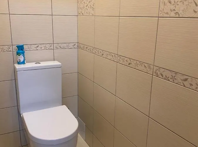 V15 Apartment Druskininkai