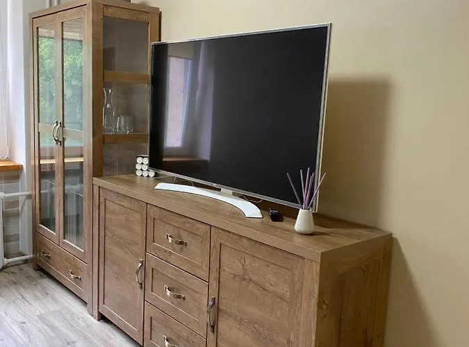 V15 Apartment Druskininkai